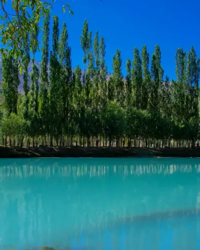 8 Days Yasin Valley Phander Gilgit Tour Packages from Islamabad - Gilgit Hunza Tour Packages
