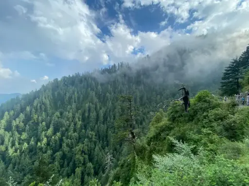 3 Day Trip to Nathia Gali (3*** Luxury) - Nathia Gali Tour Package - Trips to Nathia Gali